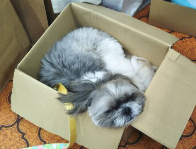 moko.jpg