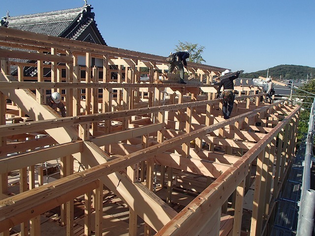 建て方